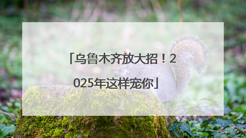 乌鲁木齐放大招！2025年这样宠你