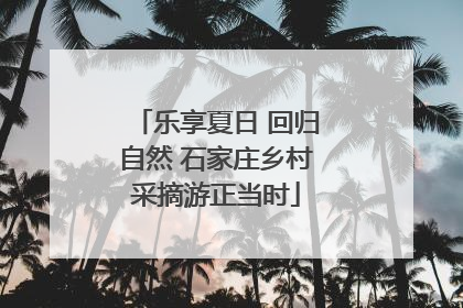 乐享夏日 回归自然 石家庄乡村采摘游正当时