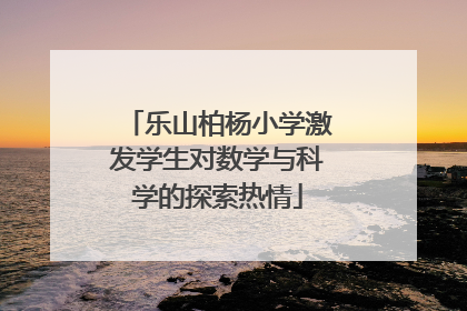乐山柏杨小学激发学生对数学与科学的探索热情