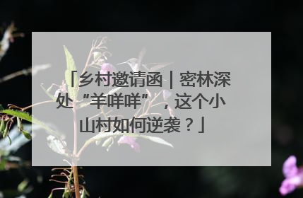 乡村邀请函｜密林深处“羊咩咩”，这个小山村如何逆袭？