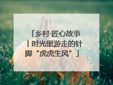 乡村·匠心故事丨时光里游走的针脚“虎虎生风”