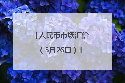 人民币市场汇价（5月26日）