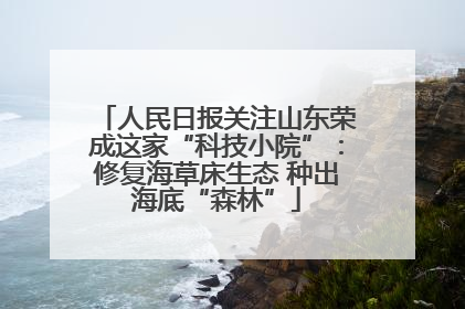 人民日报关注山东荣成这家“科技小院”：修复海草床生态 种出海底“森林”