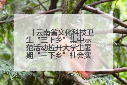云南省文化科技卫生“三下乡”集中示范活动拉开大学生暑期“三下乡”社会实践活动序幕