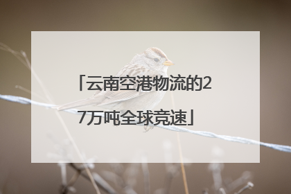 云南空港物流的27万吨全球竞速