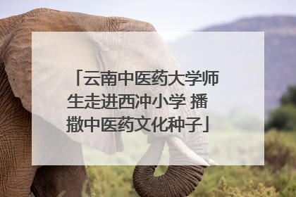 云南中医药大学师生走进西冲小学 播撒中医药文化种子
