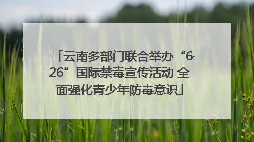 云南多部门联合举办“6·26”国际禁毒宣传活动 全面强化青少年防毒意识