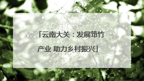 云南大关：发展筇竹产业 助力乡村振兴