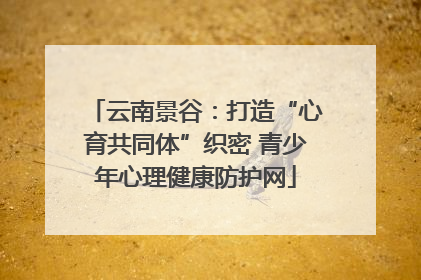 云南景谷：打造“心育共同体”织密 青少年心理健康防护网