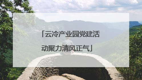 云冷产业园党建活动聚力清风正气