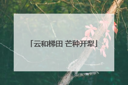 云和梯田 芒种开犁