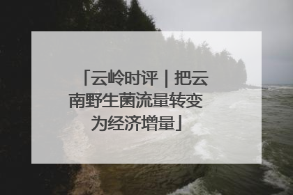 云岭时评｜把云南野生菌流量转变为经济增量