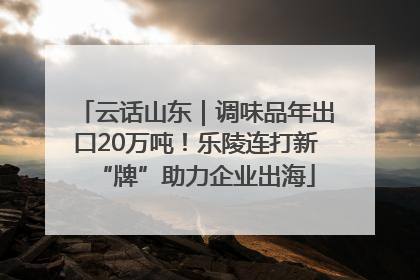 云话山东｜调味品年出口20万吨！乐陵连打新“牌”助力企业出海