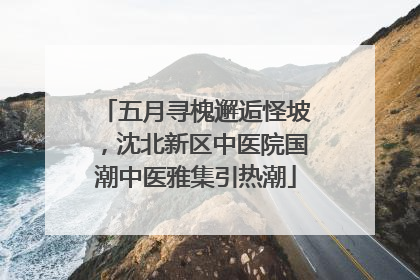 五月寻槐邂逅怪坡，沈北新区中医院国潮中医雅集引热潮