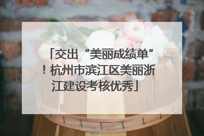 交出“美丽成绩单”！杭州市滨江区美丽浙江建设考核优秀
