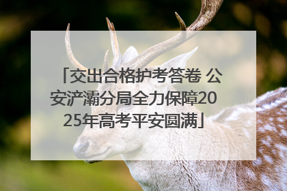 交出合格护考答卷 公安浐灞分局全力保障2025年高考平安圆满