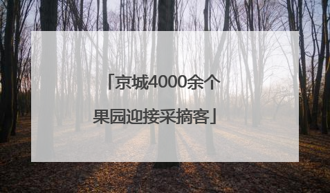 京城4000余个果园迎接采摘客