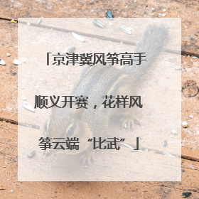 京津冀风筝高手顺义开赛，花样风筝云端“比武”