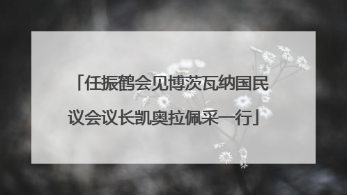 任振鹤会见博茨瓦纳国民议会议长凯奥拉佩采一行