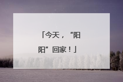 今天，“阳阳”回家！