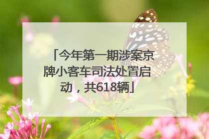 今年第一期涉案京牌小客车司法处置启动，共618辆