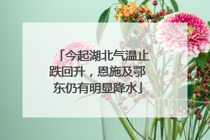 今起湖北气温止跌回升，恩施及鄂东仍有明显降水