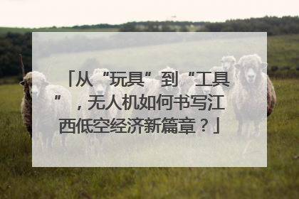 从“玩具”到“工具”，无人机如何书写江西低空经济新篇章？