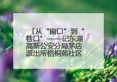 从“窗口”到“巷口”——记东湖高新公安分局茅店派出所梧桐苑社区民警樊艳玲