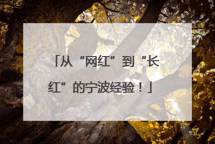 从“网红”到“长红”的宁波经验！