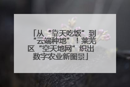 从“靠天吃饭”到“云端种地”！莱芜区“空天地网”织出数字农业新图景