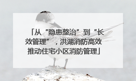 从“隐患整治”到“长效管理”，洪湖消防高效推动住宅小区消防管理