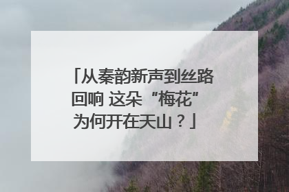 从秦韵新声到丝路回响 这朵“梅花”为何开在天山？
