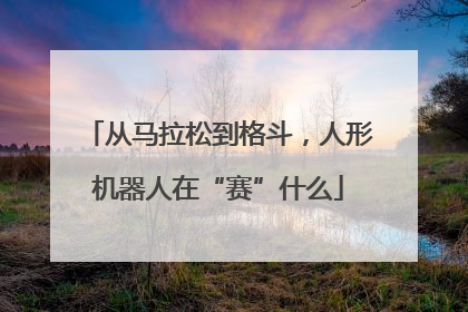 从马拉松到格斗，人形机器人在“赛”什么