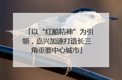 以“红船精神”为引领，嘉兴加速打造长三角重要中心城市