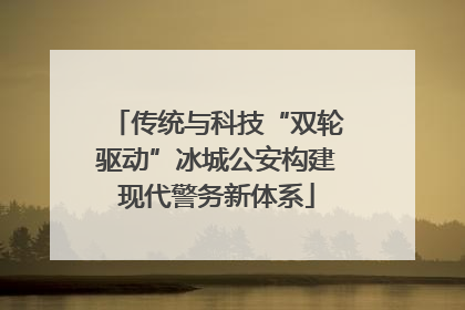 传统与科技“双轮驱动”冰城公安构建现代警务新体系