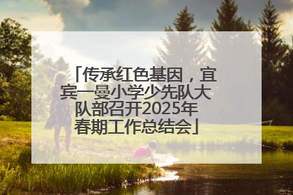 传承红色基因，宜宾一曼小学少先队大队部召开2025年春期工作总结会