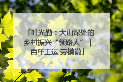 叶光勤：大山深处的乡村振兴“领路人”｜百年工运·劳模说