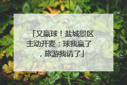又赢球！盐城景区主动开麦：球我赢了，旅游我请了