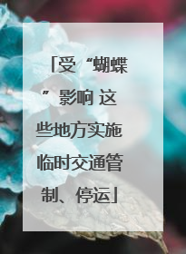 受“蝴蝶”影响 这些地方实施临时交通管制、停运