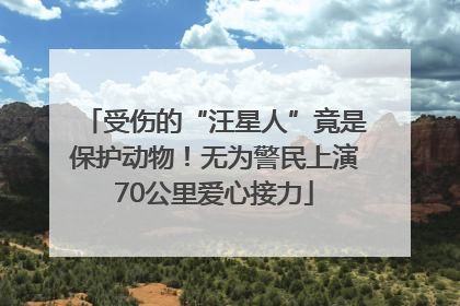 受伤的“汪星人”竟是保护动物！无为警民上演70公里爱心接力