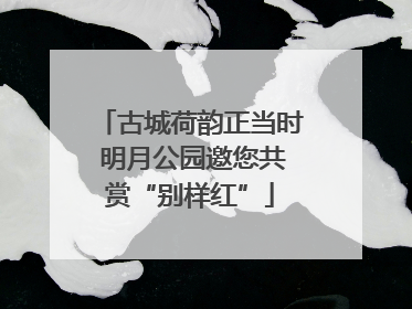 古城荷韵正当时 明月公园邀您共赏“别样红”