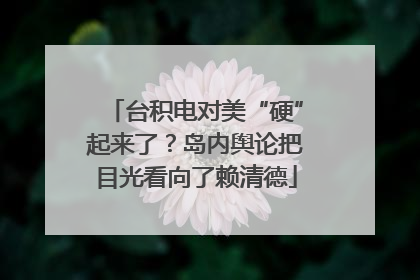 台积电对美“硬”起来了？岛内舆论把目光看向了赖清德