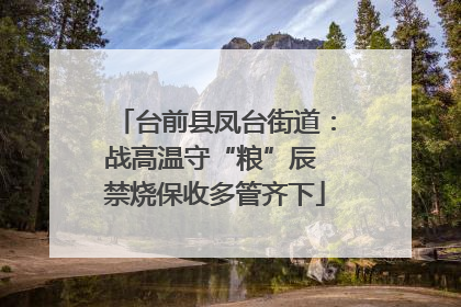 台前县凤台街道：战高温守“粮”辰 禁烧保收多管齐下