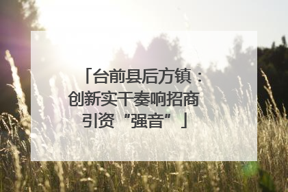 台前县后方镇：创新实干奏响招商引资“强音”