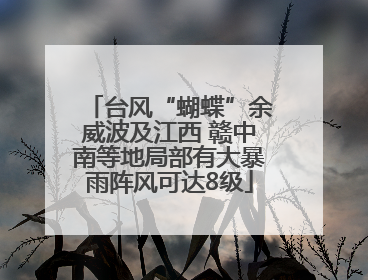 台风“蝴蝶”余威波及江西 赣中南等地局部有大暴雨阵风可达8级