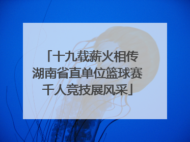 十九载薪火相传 湖南省直单位篮球赛千人竞技展风采