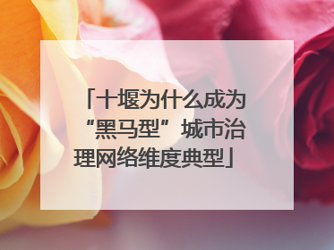 十堰为什么成为“黑马型”城市治理网络维度典型