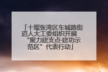 十堰张湾区车城路街道人大工委组织开展 “聚力建支点·建功示范区”代表行动
