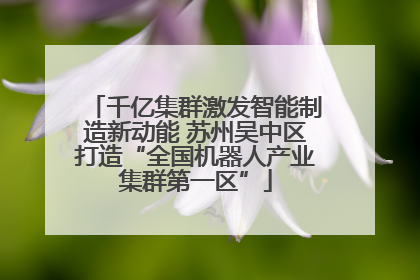 千亿集群激发智能制造新动能 苏州吴中区打造“全国机器人产业集群第一区”