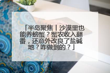 半岛聚焦丨沙漠里也能养螃蟹？蟹农收入翻番，还意外改良了盐碱地？咋做到的？